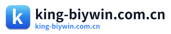 king-biywin.com.cn